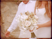 Screenshot 2026-03-24 at 22.01.18.png