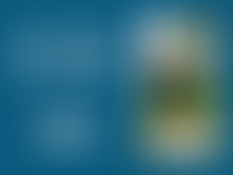 Life before and after the stroke