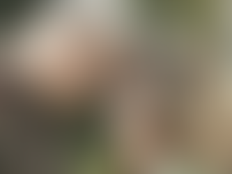 Regresa a casa tras estar hospitalizada y descubre que su esposo murió por covid-19