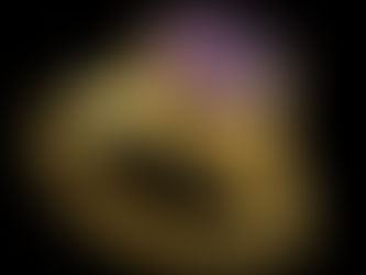 Encuentran un antiguo anillo de oro adornado con amatista que podría haber sido para la resaca