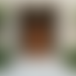 Was Sie über Hausmeisterservice Leistungen Kosten wissen sollten