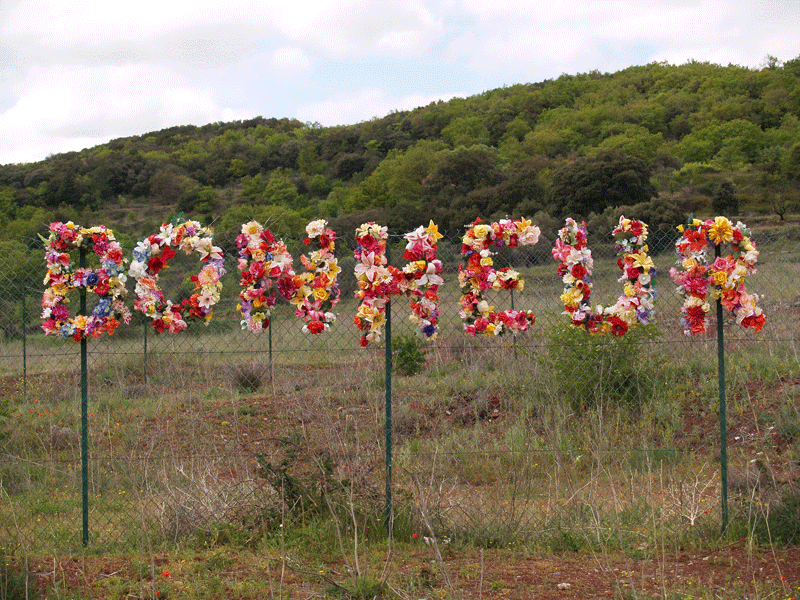 Bonheur : 2008