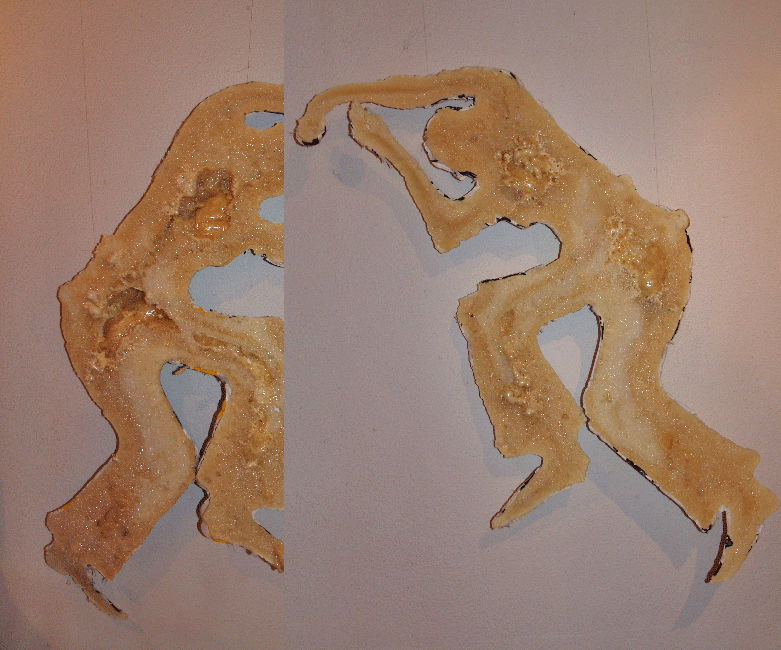 Dismembered Memories /2008