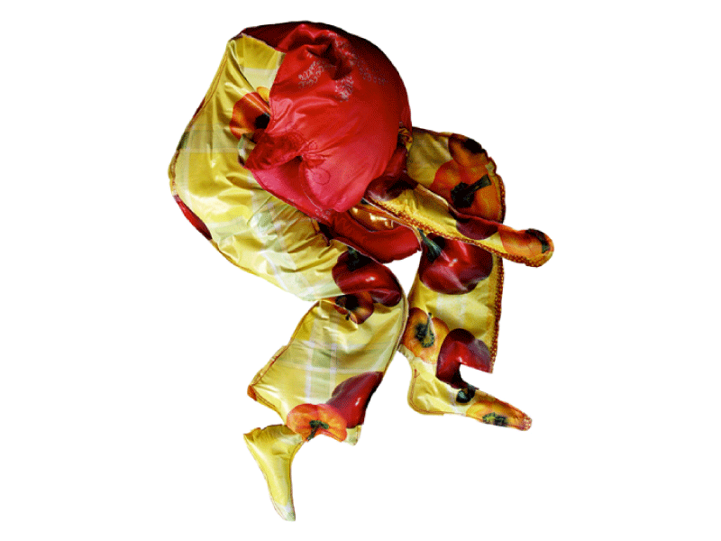 Motifiables-Poivrons-2007