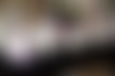 Collaborative Arts Project