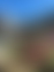 Campos do Jordão (SP)