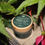 Thumbnail: NaturArdi Green Clay Face Mask