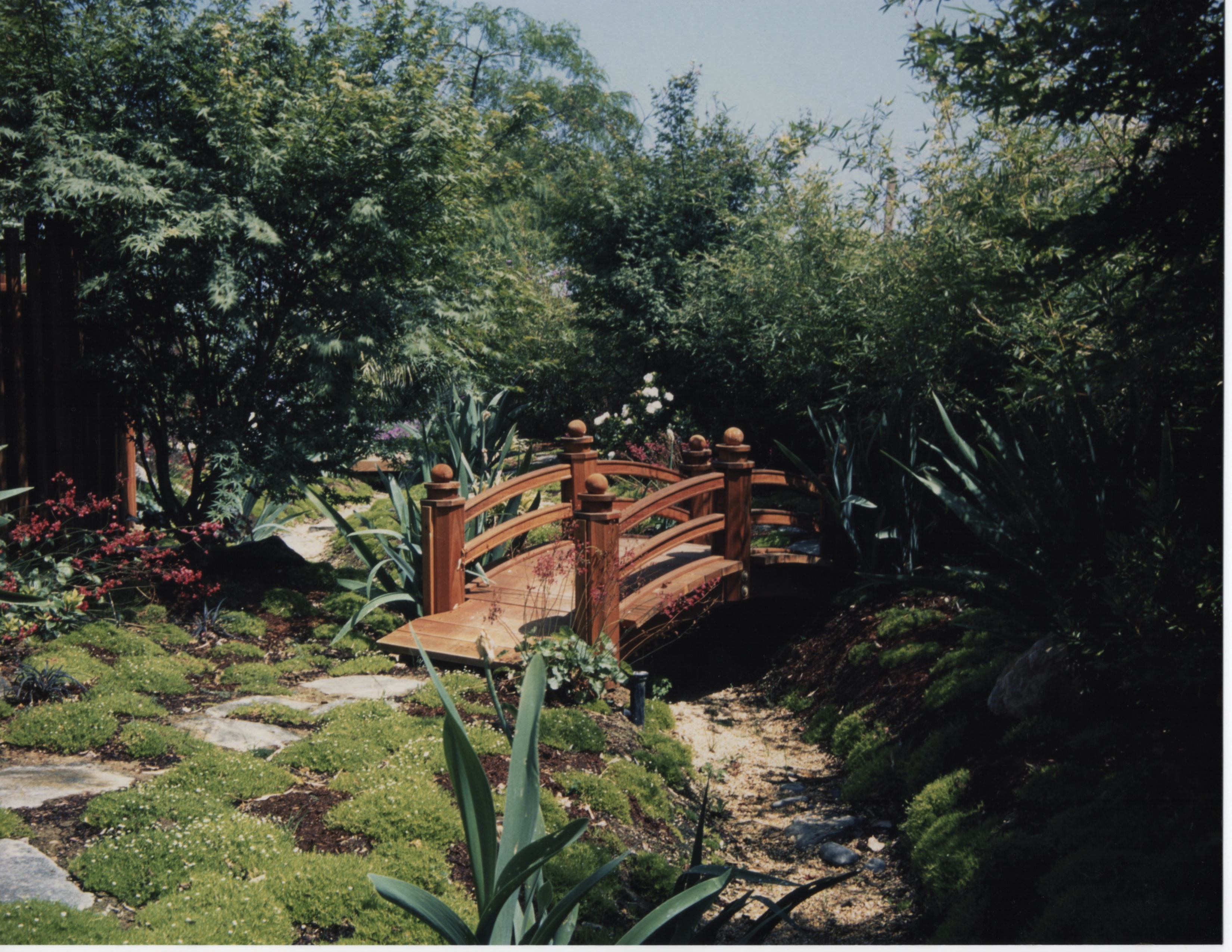 Beautifying a Side Yard, Part II