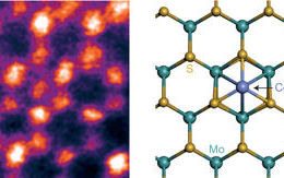 MoS2 monolayer catalyst doped with isolated Co atoms for the hydrodeoxygenation reaction
