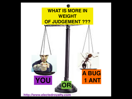 CAN YOU JUDGE???
