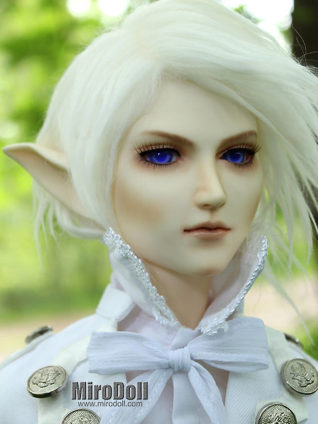 Elf Prince (6)