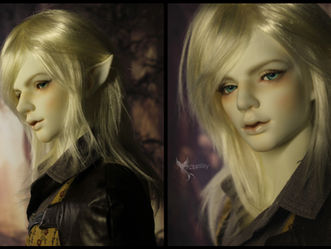 Face-up for Impldoll Plaice