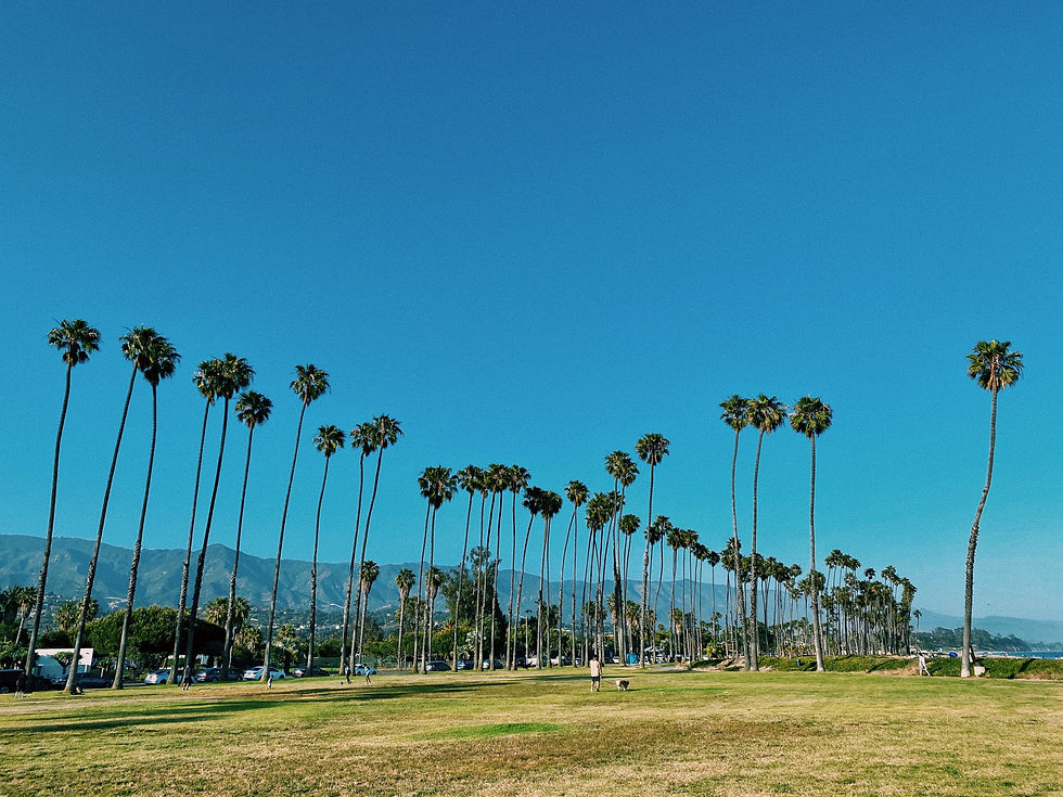 Thumbnail: Santa Barbara County Guide (SB, Los Alamos, Santa Ynez, Ojai, Solvang)