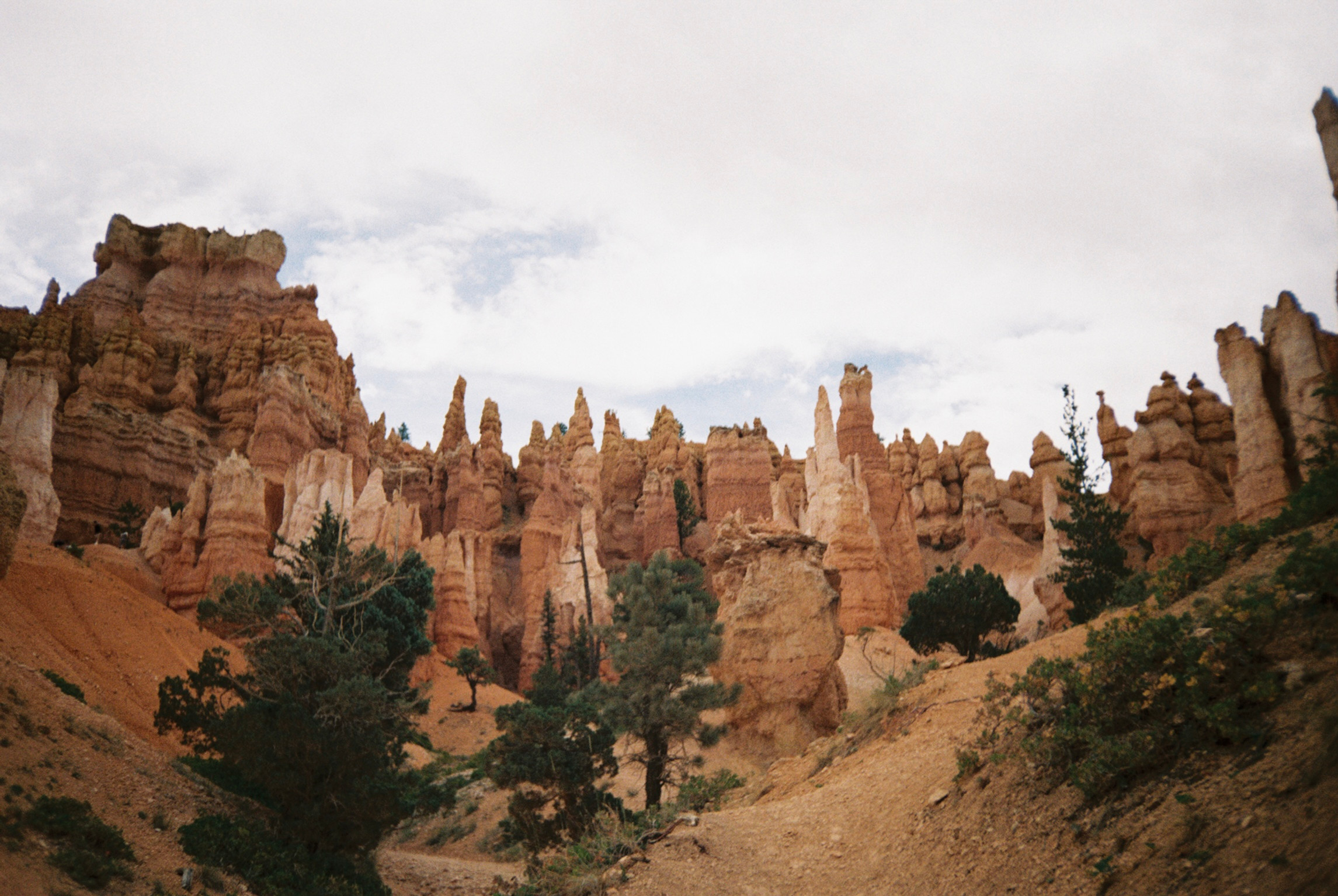 A Weekend in Bryce Canyon + Zion National Parks
