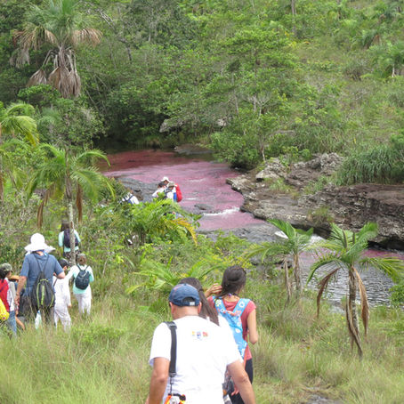 Capacidad de carga; destino Caño Cristales
