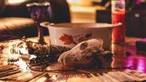 12 Days of Autumn Equinox ~ Day 5
