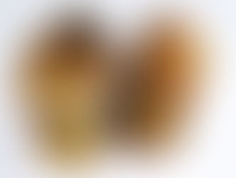 Amber by Sue Perryman