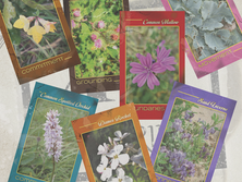 A year in the making...The Herbarium has landed!