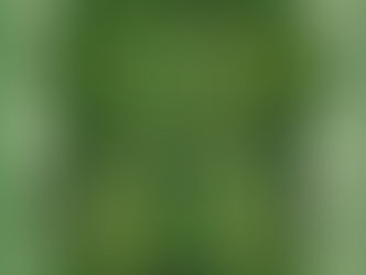 The Green Man by Vanessa Armstrong