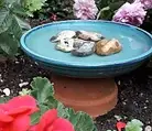 9 Days of Summer Solstice ~ Day One