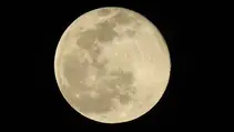 Moon Phases - April 2023 ~ Full Moon by Sue Perryman