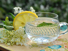 Elder flower Recipes by Sue Perryman