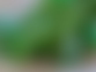 Rosemary by Sue Perryman