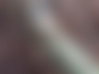 Birch bracket fungus from Heather