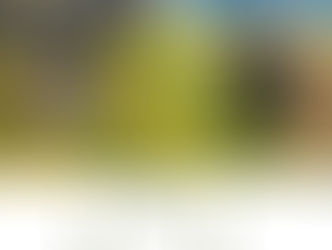 Pantheon - The Irish by Morgan Daimler