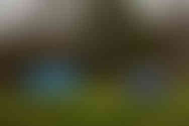 6306_AlainOLIVIER.jpg