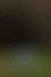 6308_AlainOLIVIER.jpg