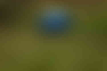 6330_AlainOLIVIER.jpg