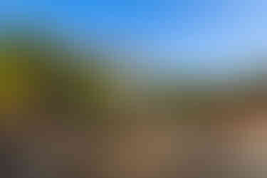 3659_AlainOlivier.jpg