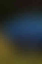 6310_AlainOLIVIER.jpg