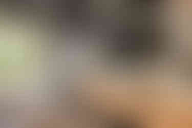 6759_AlainOLIVIER.jpg