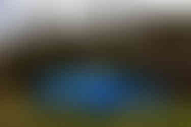 6305_AlainOLIVIER.jpg