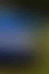 6307_AlainOLIVIER.jpg