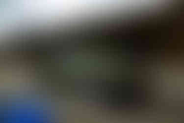 6344_AlainOLIVIER.jpg