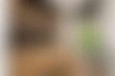 6754_AlainOLIVIER.jpg