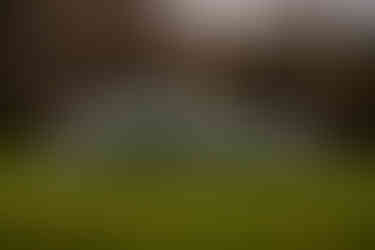 6304_AlainOLIVIER.jpg