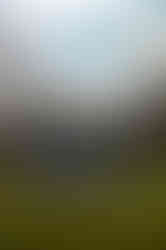 6302_AlainOLIVIER.jpg