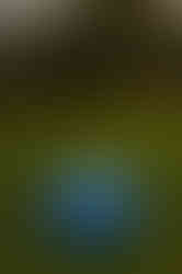 6326_AlainOLIVIER.jpg
