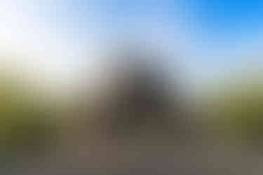 6726_AlainOLIVIER.jpg