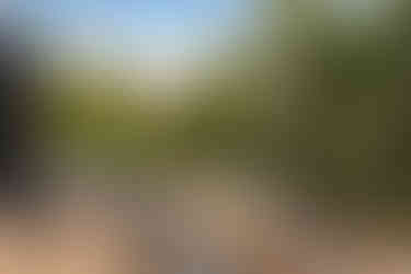 6729_AlainOLIVIER.jpg