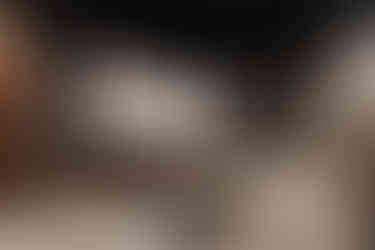 6769_AlainOLIVIER.jpg