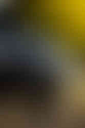 5406_AlainOlivier.jpg
