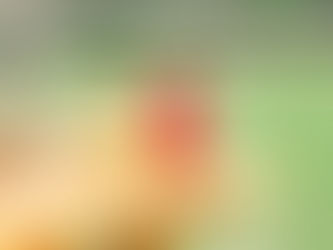 SU飲むフルーツ酢