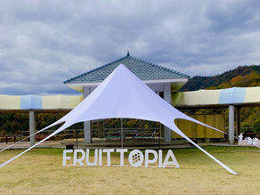 インスタを投稿してカフェ特製○○をゲット!!