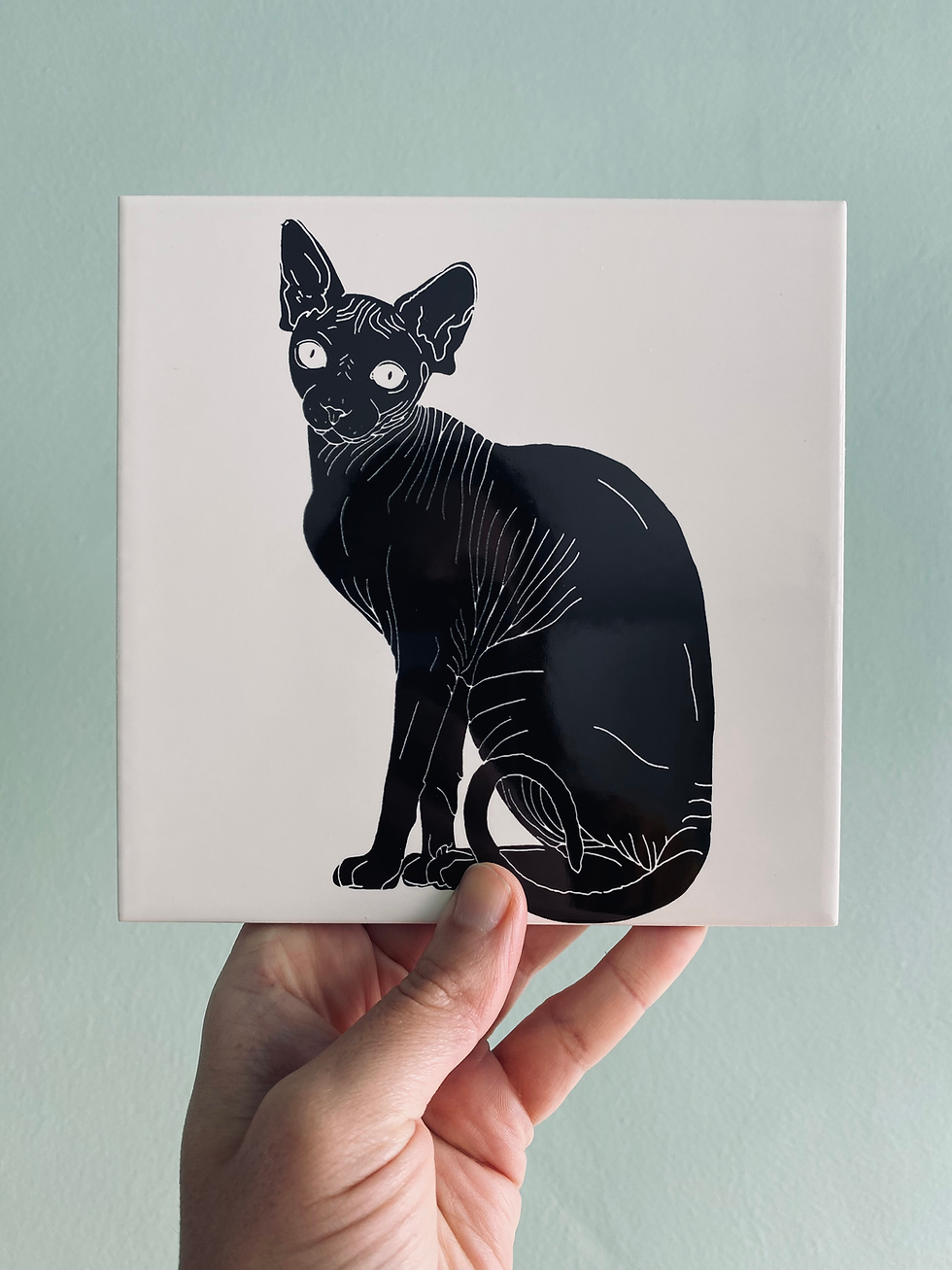 Miniatura: OS PELADOS EM PRETO