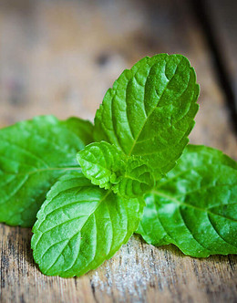 Mint.jpg